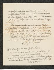 Nachlass Franz Steindachner, Brief von Josef Sturm an Franz Steindachner, Inv.Nr. 526.09, Seite 2